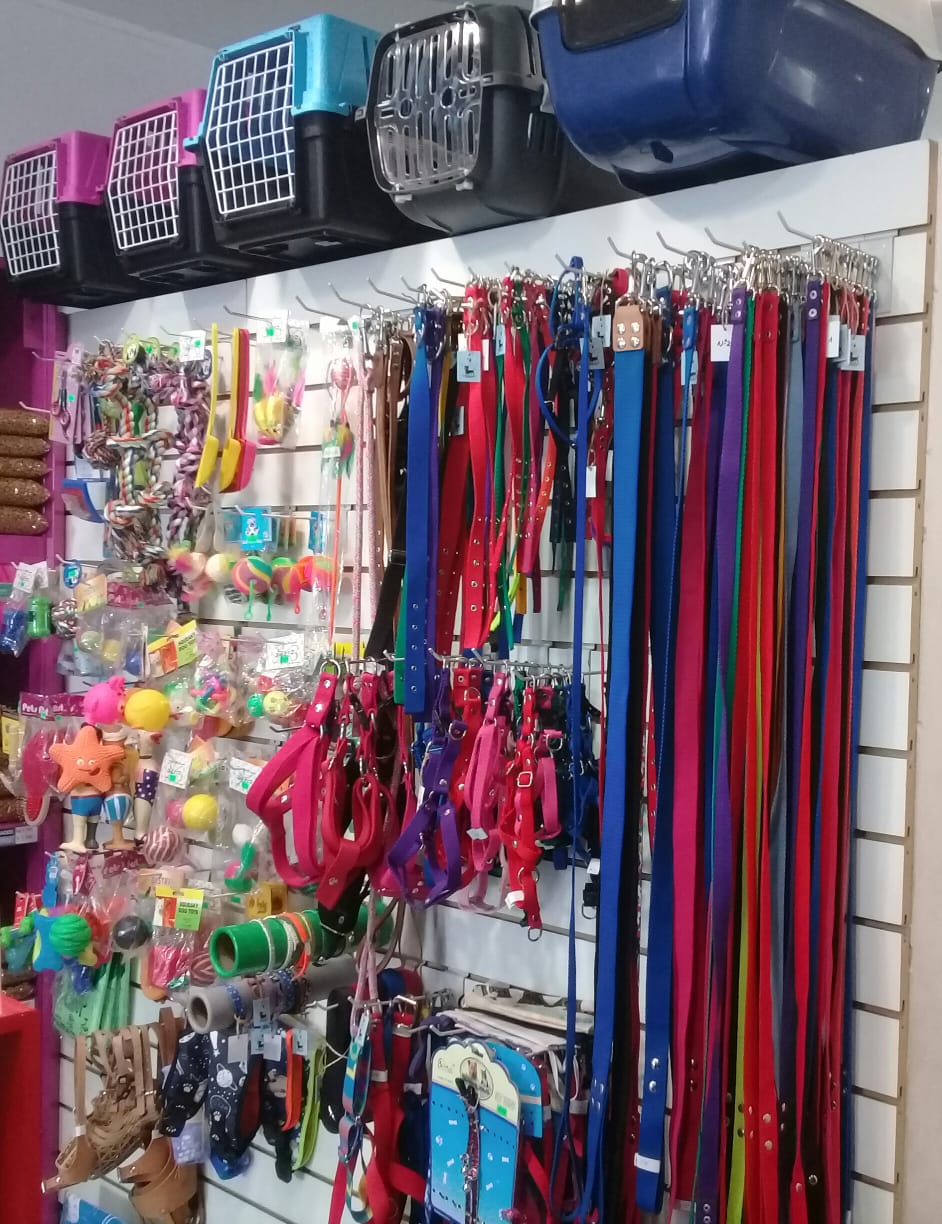 Accesorios y correas en Veterinaria Baufi